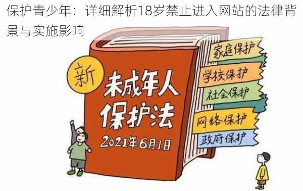 保护青少年：详细解析18岁禁止进入网站的法律背景与实施影响