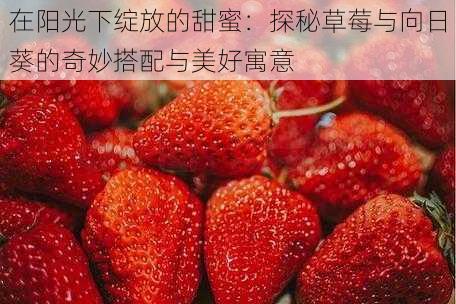 在阳光下绽放的甜蜜：探秘草莓与向日葵的奇妙搭配与美好寓意