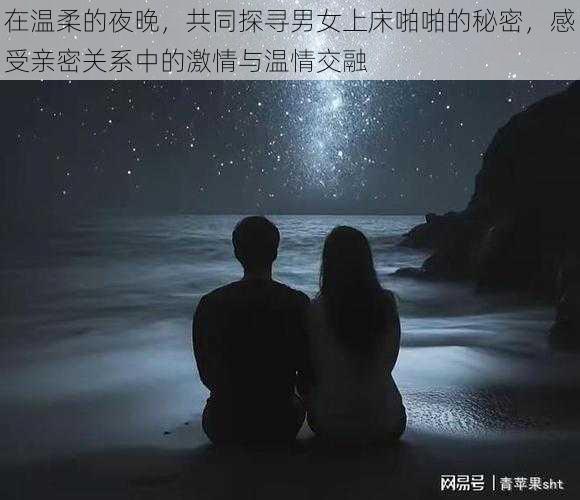 在温柔的夜晚，共同探寻男女上床啪啪的秘密，感受亲密关系中的激情与温情交融