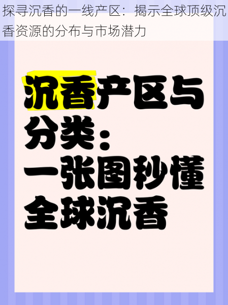 探寻沉香的一线产区：揭示全球顶级沉香资源的分布与市场潜力