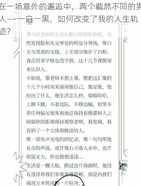 在一场意外的邂逅中，两个截然不同的男人——一白一黑，如何改变了我的人生轨迹？