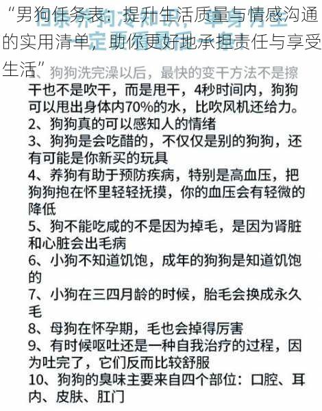 “男狗任务表：提升生活质量与情感沟通的实用清单，助你更好地承担责任与享受生活”