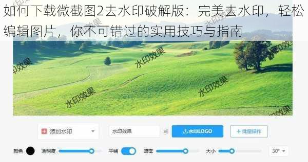 如何下载微截图2去水印破解版：完美去水印，轻松编辑图片，你不可错过的实用技巧与指南