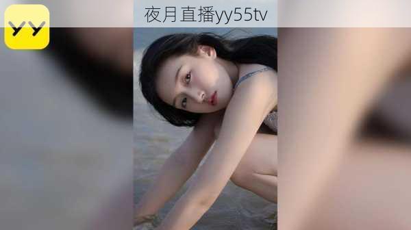 夜月直播yy55tv