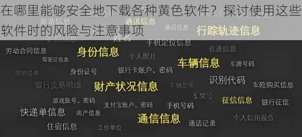 在哪里能够安全地下载各种黄色软件？探讨使用这些软件时的风险与注意事项