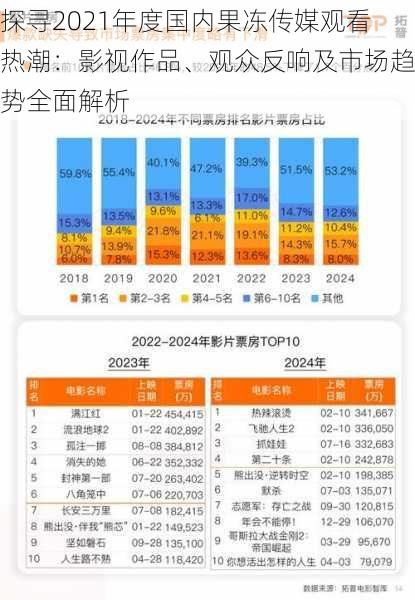 探寻2021年度国内果冻传媒观看热潮：影视作品、观众反响及市场趋势全面解析