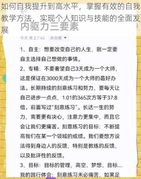 如何自我提升到高水平，掌握有效的自我教学方法，实现个人知识与技能的全面发展