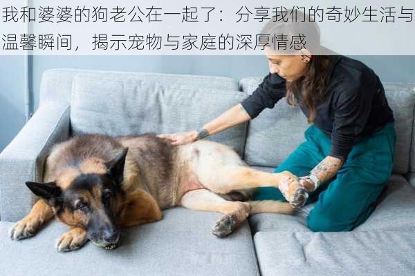 我和婆婆的狗老公在一起了：分享我们的奇妙生活与温馨瞬间，揭示宠物与家庭的深厚情感