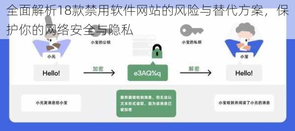 全面解析18款禁用软件网站的风险与替代方案，保护你的网络安全与隐私