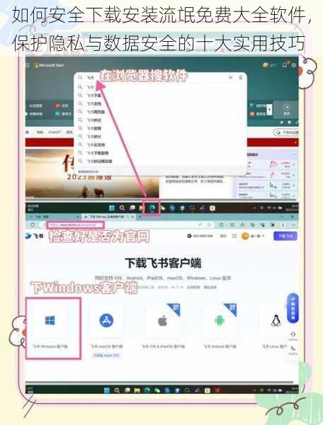 如何安全下载安装流氓免费大全软件，保护隐私与数据安全的十大实用技巧