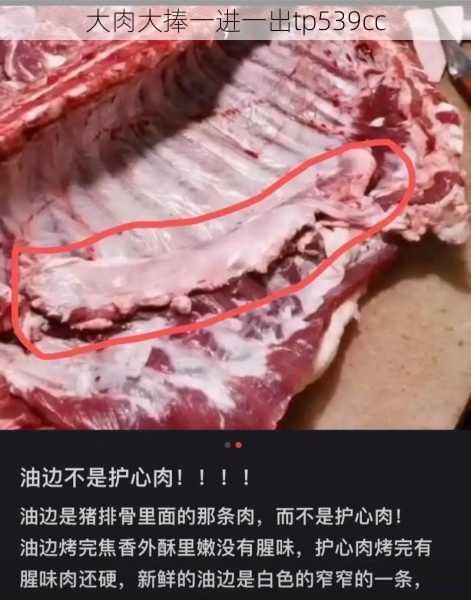 大肉大捧一进一出tp539cc