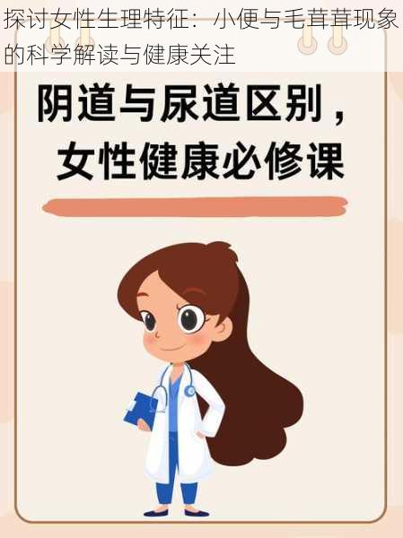 探讨女性生理特征：小便与毛茸茸现象的科学解读与健康关注