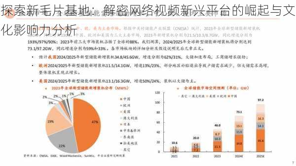 探索新毛片基地：解密网络视频新兴平台的崛起与文化影响力分析