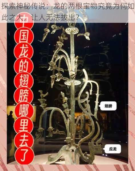 探索神秘传说：龙的两根宝物究竟为何如此之大，让人无法拔出？